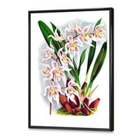 DesignArt 'Бела гроздобер орхидеја цвет II' Традиционална врамена платно wallидна уметност печатење