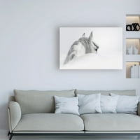 Трговска марка ликовна уметност „Бел коњ на бело“ платно уметност од фотоинци студио