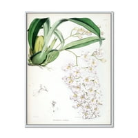 DesignArt 'Античка бела орхидеја II' Традиционална врамена платна wallидна уметност печатење