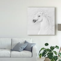Трговска марка ликовна уметност 'црно -бели коњи III' платно уметност од phburchett