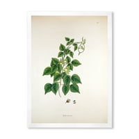 DesignArt 'Антички Лондонски растенија viii' Фарма куќа врамена уметничка печатење