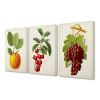 Sumn Industries гроздобер овошје храна кујна трпезарија за сликање дизајн платно уметност поставено од студио за визија