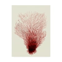 Трговска марка ликовна уметност „Црвени корали Д“ платно уметност од Фаб Фанки